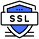 SSL Encryption for Safe and Secure Payments